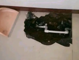 环翠卫生间测漏水多少钱
